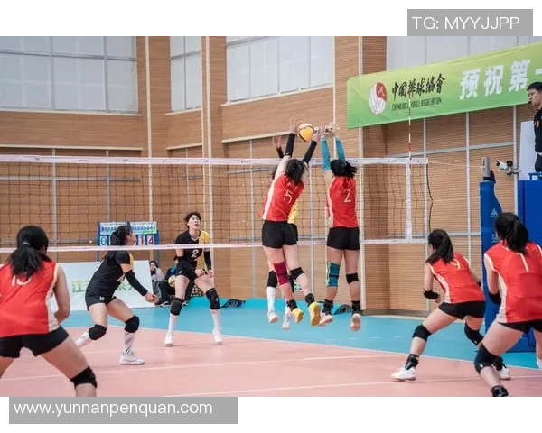 重庆排球队实力强劲荣登全国排球力量排行榜第七名