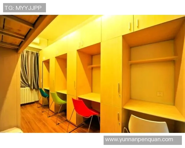 广州篮球队耐力揭秘：从训练到比赛的全方位探索与分析