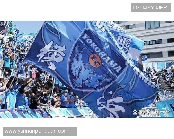 天津刘姓足球明星的崛起与成就探讨