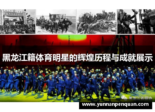 黑龙江籍体育明星的辉煌历程与成就展示