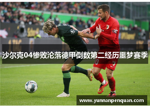 沙尔克04惨败沦落德甲倒数第二经历噩梦赛季