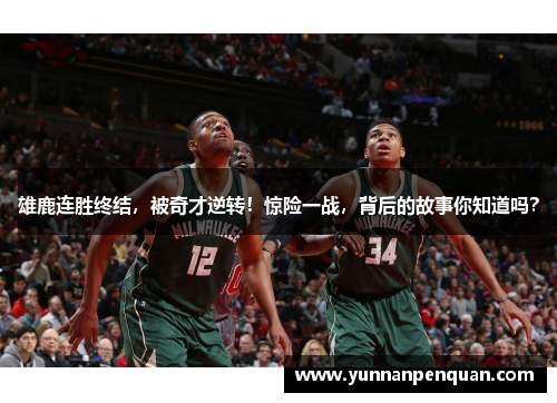 雄鹿连胜终结，被奇才逆转！惊险一战，背后的故事你知道吗？