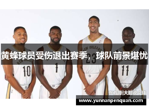 黄蜂球员受伤退出赛季，球队前景堪忧