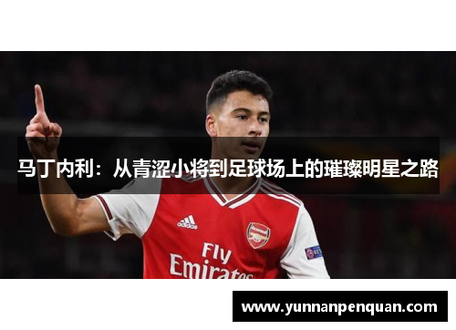 马丁内利：从青涩小将到足球场上的璀璨明星之路